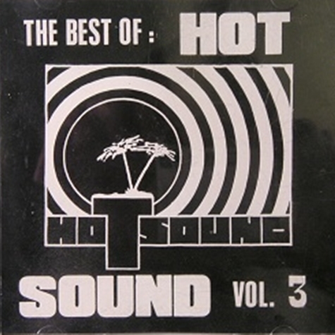 The Best Of Hotsound Vol. 3 (1991 · FLAC+MP3)