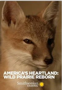 Americas Heartland Wild Prairie Reborn 2021 1080p
