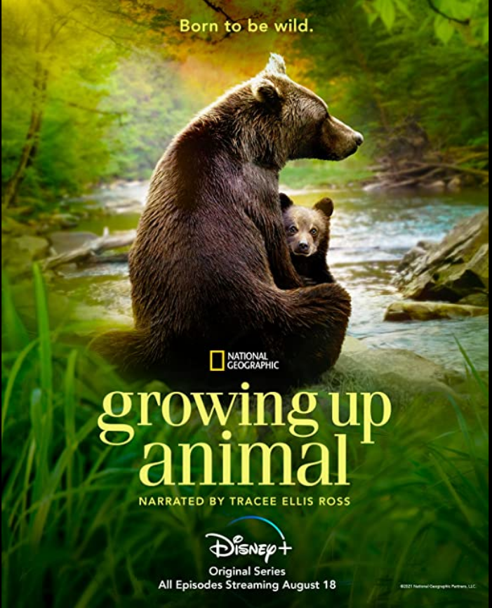 Growing Up Animal S01E06 HDR 2160p h265 NL Subs