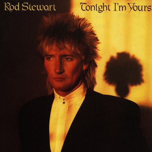 Rod Stewart - Tonight I'm Yours (1981)