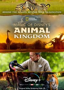 Magic of Disneys Animal Kingdom S01E04 1080p WEB-DL DDP5 1 H 264-ROCCaT