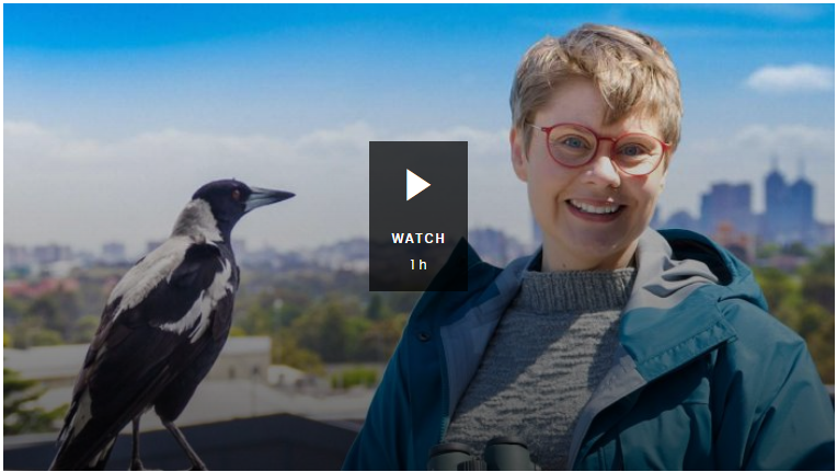 Catalyst S23E01 The Secret Lives Of Our Urban Birds 1080p