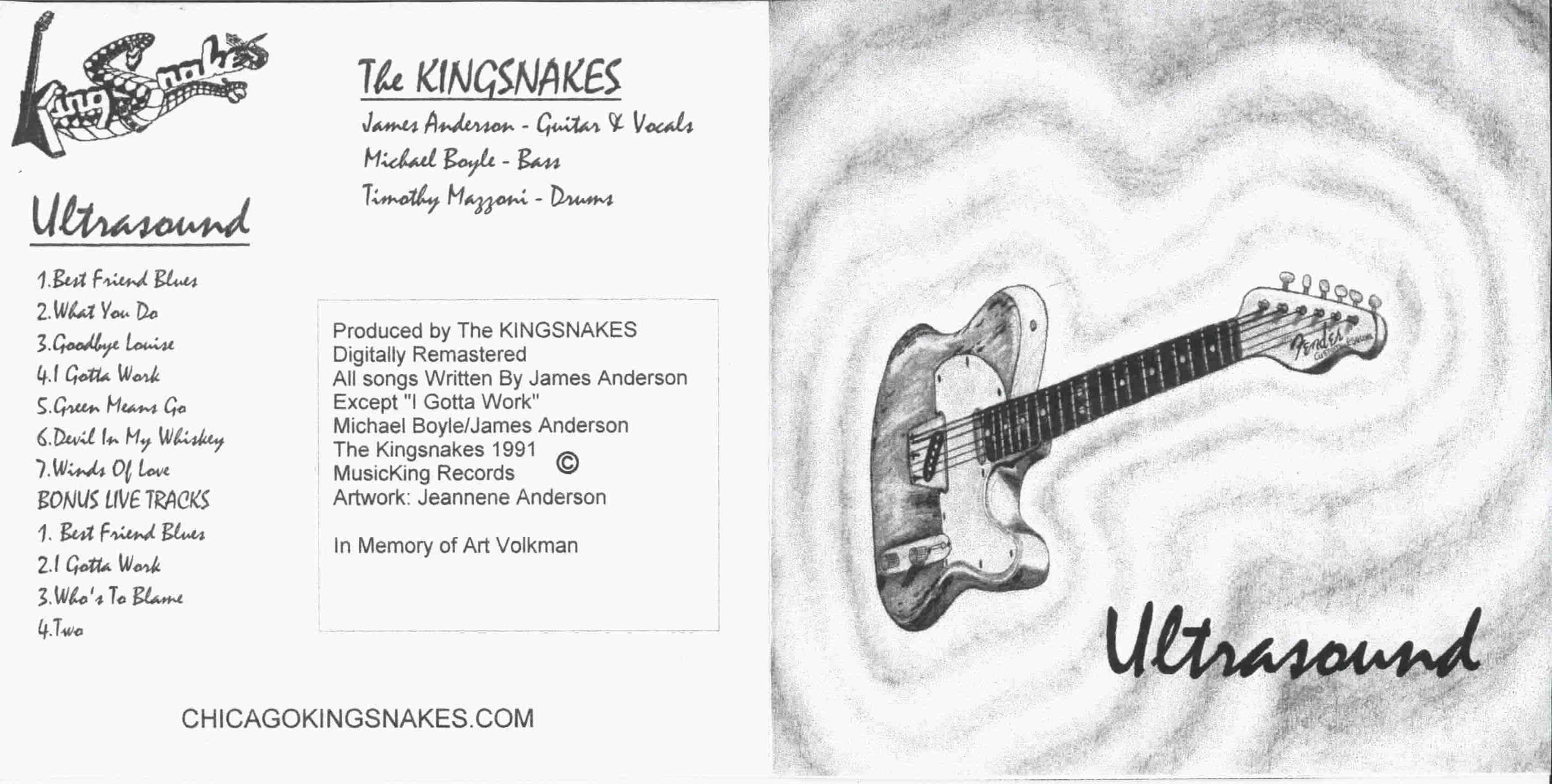 The Chicago Kingsnakes - 1991 - Ultrasound