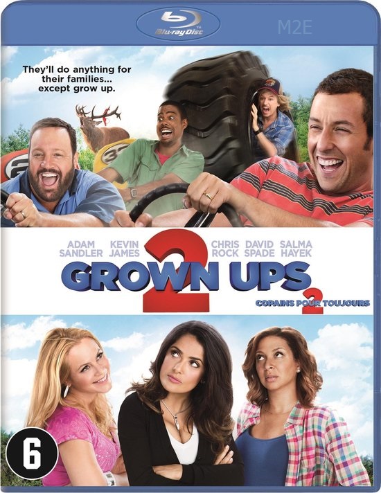 Grown Ups 2 (2013) 1080p DTS