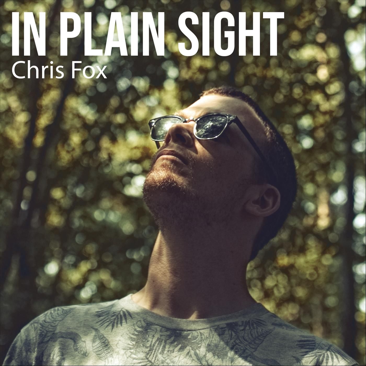 Chris Fox - 2022 - In Plain Sight
