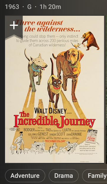 The Incredible Journey 1963 720p DSNP WEB-DL AAC2 0 H 264-NLSubsIN-S-J-K