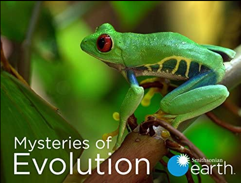 Mysteries of Evolution S01E01 1080p