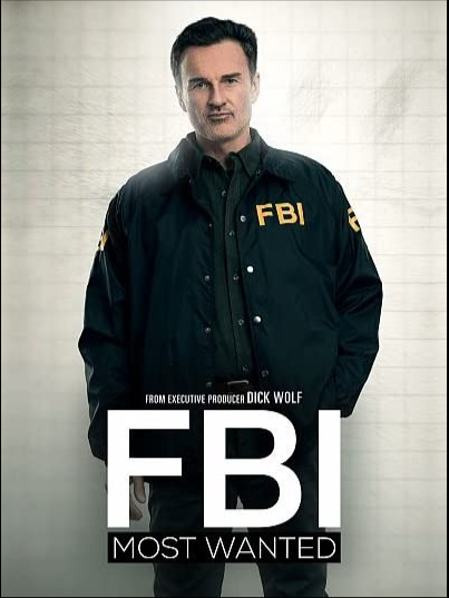 FBI Most Wanted S03E17 1080p