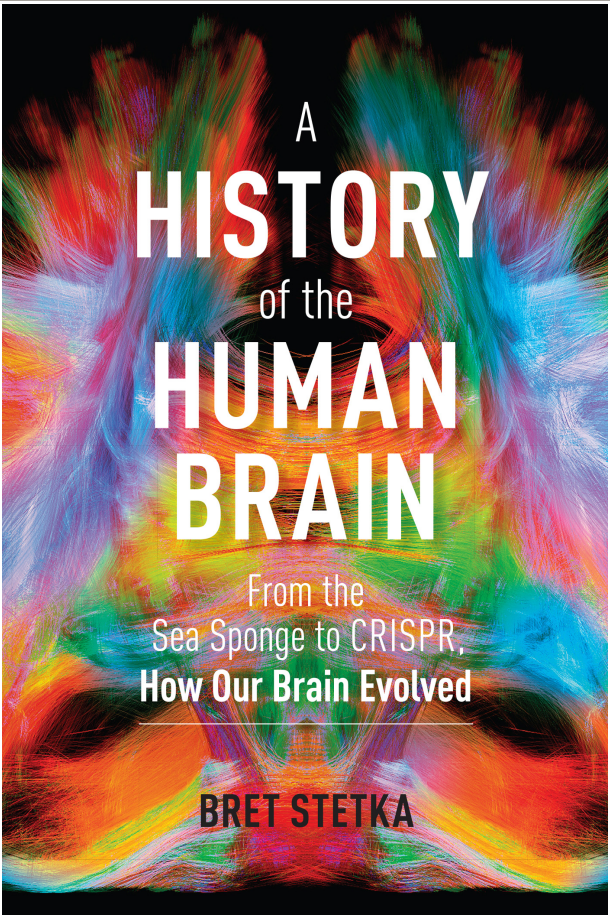 Bret Stetka - A History of the Human Brain
