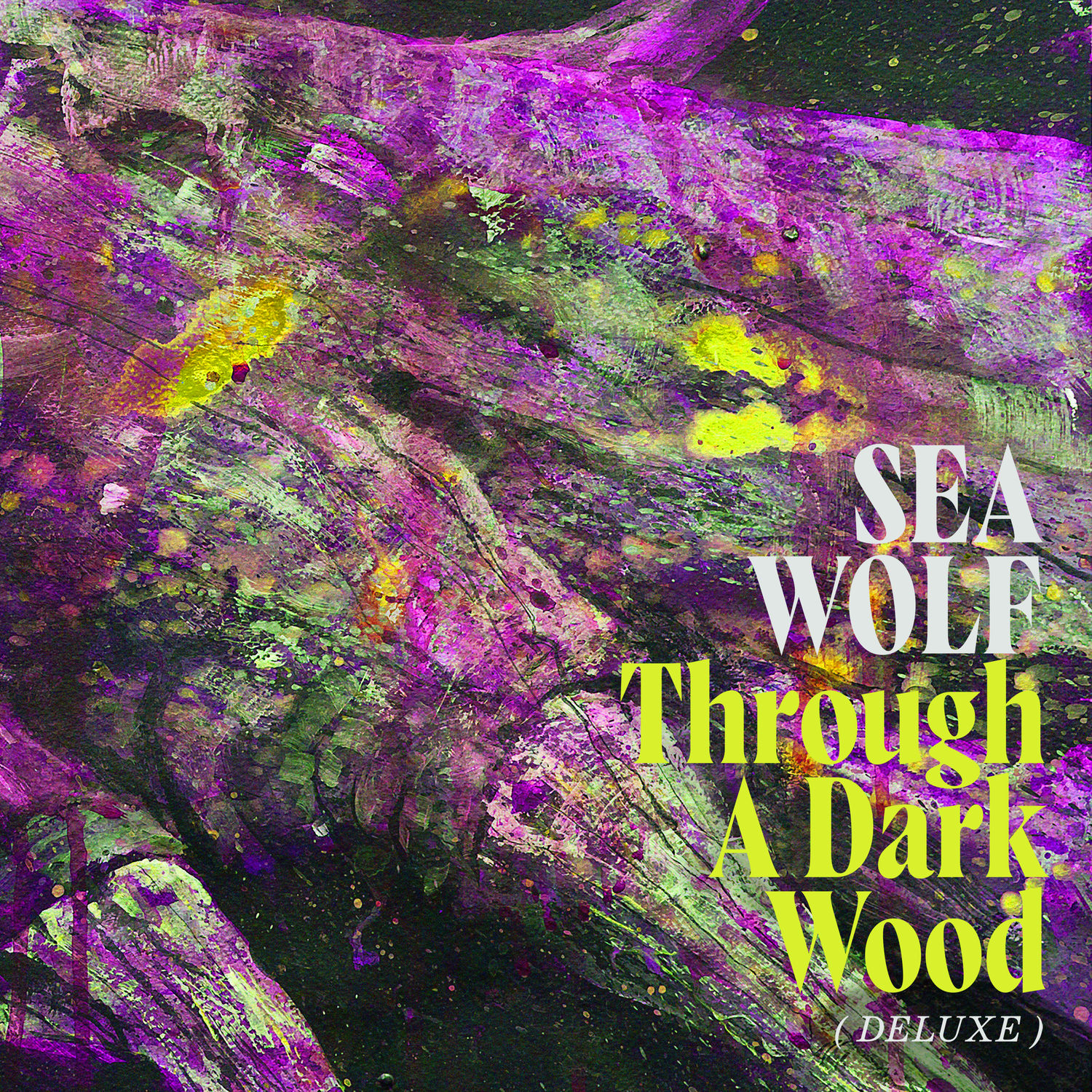 Sea Wolf - 2021 - Through A Dark Wood (Deluxe) (24-96)