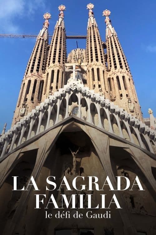 De Sagrada Familie De Uitdaging Van Gaudi 2022 FLEMISH NLSUBBED x264-DDF