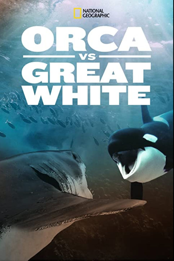 Orca vs Great White 2021 1080p Retail NL Subs