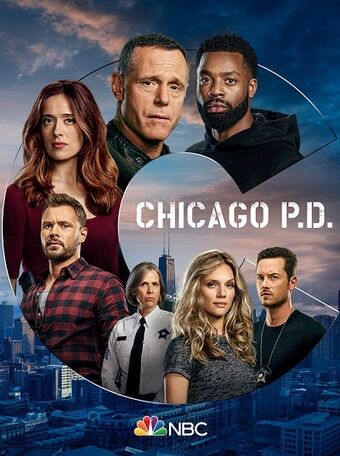 CHICAGO P.D (2020) S08E11 1080p AMZN WEB-DL DD5.1 NL Sub