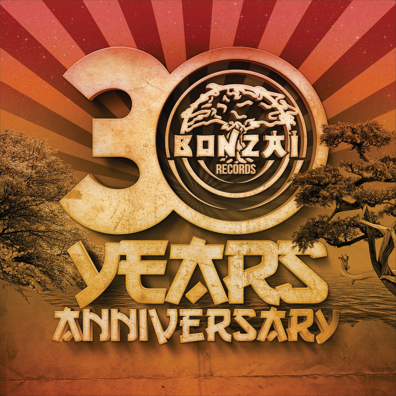 30 Years Bonzai Continuous Mix Edition