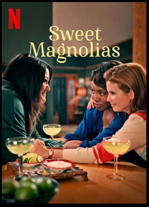 Sweet Magnolias S02E06 1080p Retail NL Subs