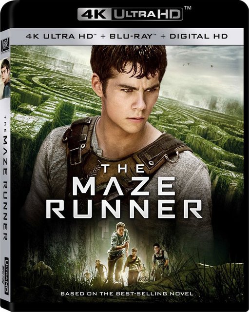 The Maze Runner (2014) BluRay 2160p Hybrid DV HDR DTS-HD AC3 HEVC NL-RetailSub REMUX