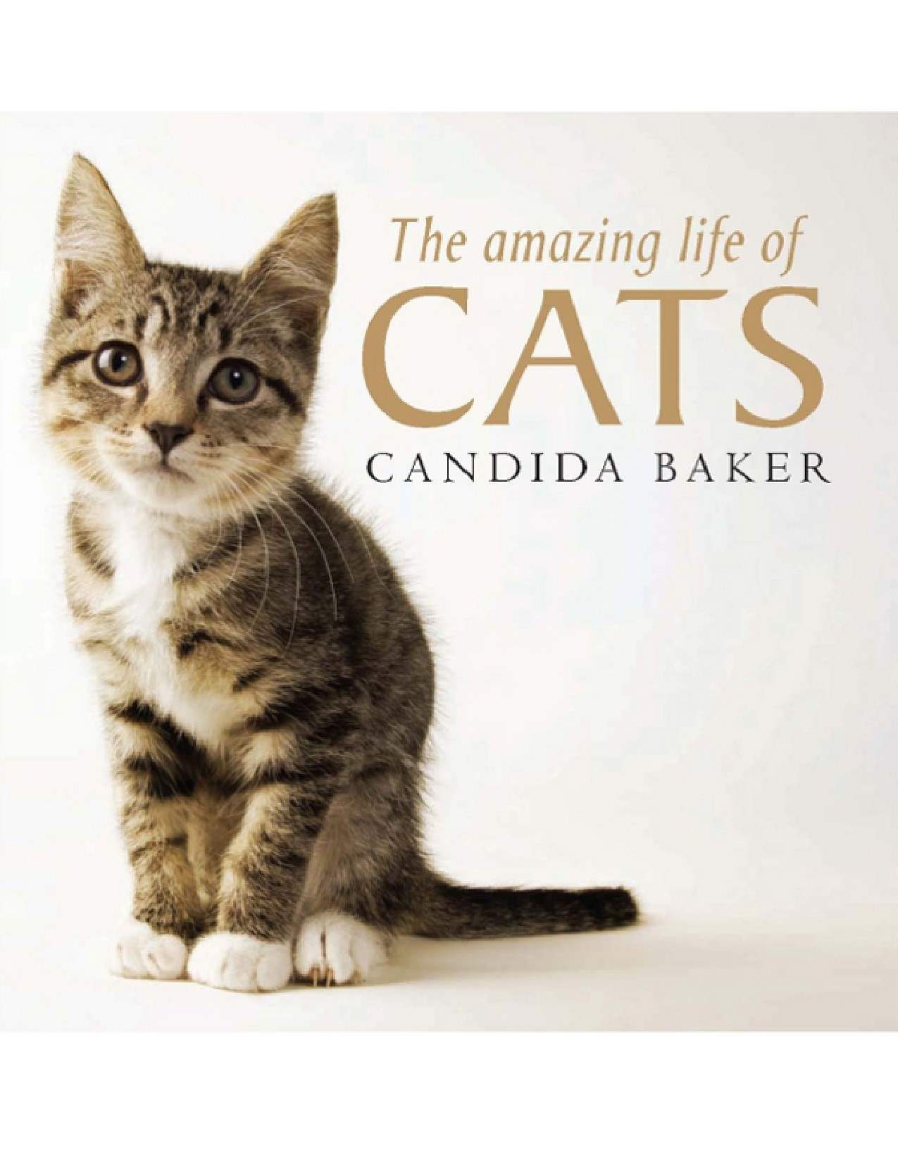 The Amazing Life Of Cats Candida Baker
