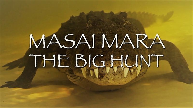 Masai Mara De Grote Jacht 1080p HDTV x264 MVGroup-DDF