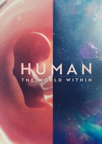 Human The World Within S01E05 1080p WEBRip x264-BAE