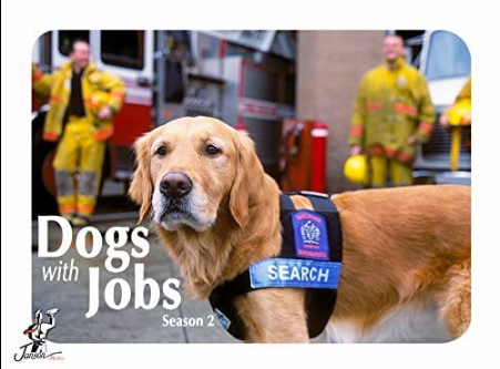 Dogs with Jobs S01E01 Maggie and A J