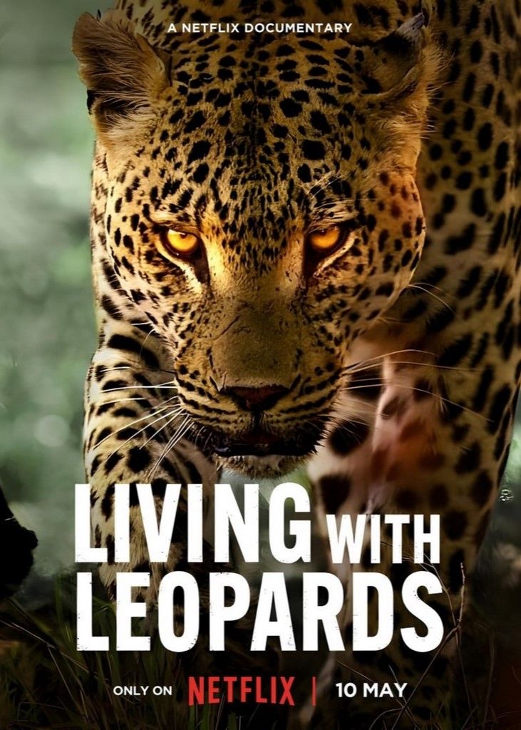 Living with Leopards 2024 1080p NF WEB-DL DDP5 1 Atmos H 264-GP-M-NLsubs