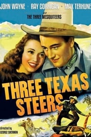 Three Texas Steers 1939 1080p BluRay H264 AAC