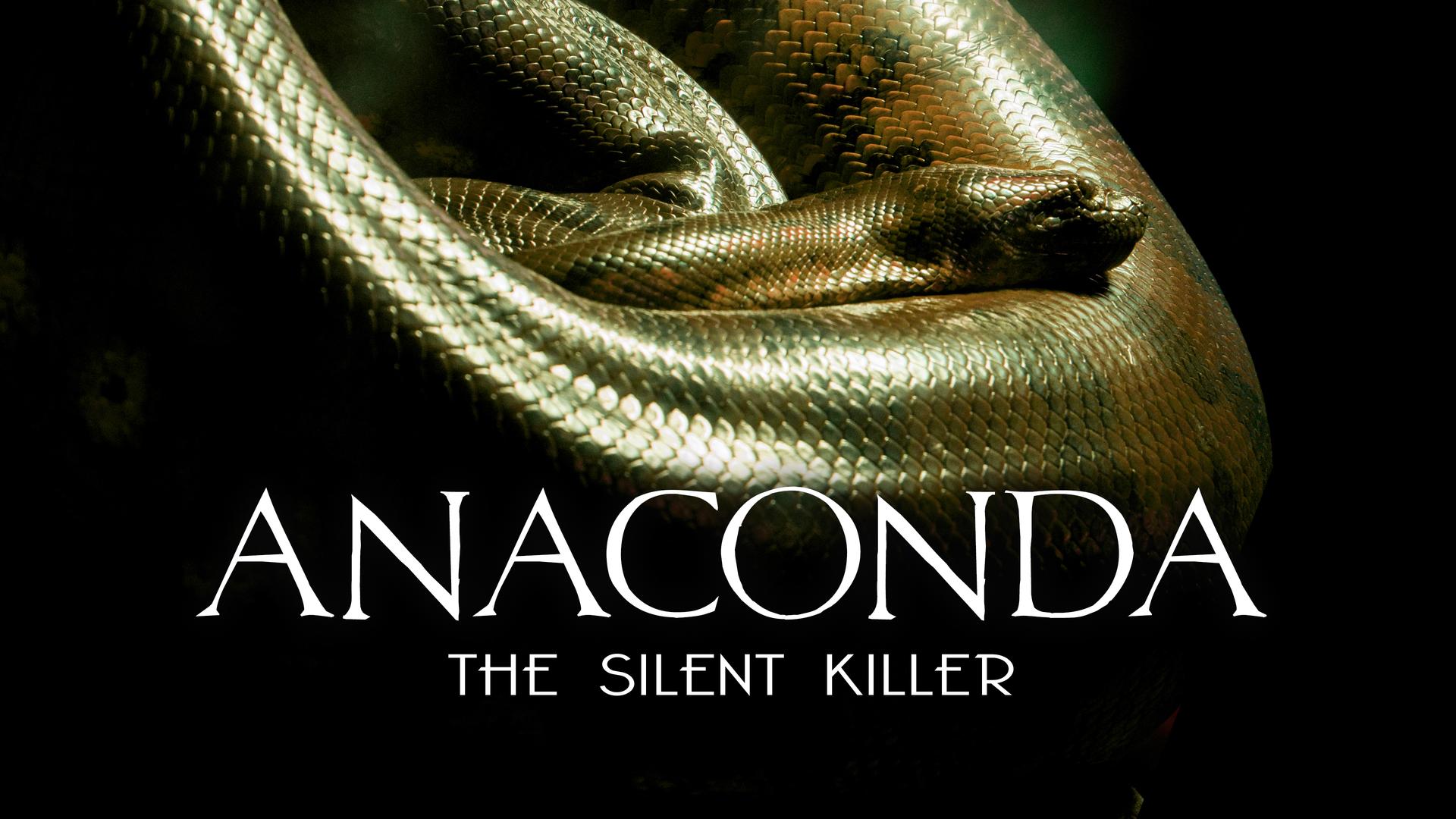 Anaconda-De Stille Moordenaar GG NLSUBBED WEB x264-DDF