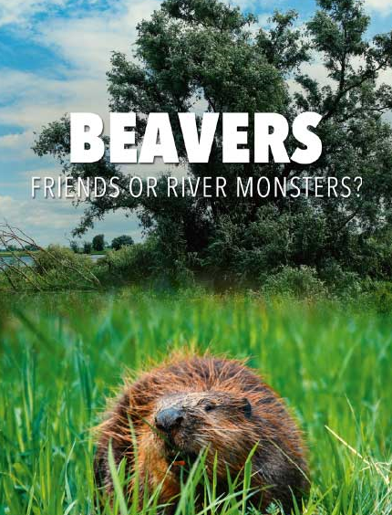 Bevers-Vrienden of Rivermonsters FLEMISH 1080p WEB x264-DDF