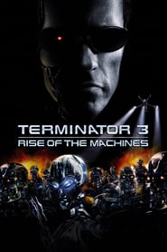 Terminator 3 2003 BluRay 1080p Remux AVC TrueHD-Section9-AsR