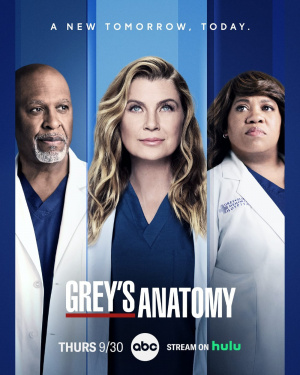 Grey's Anatomy - Seizoen 18 (2021-2022)