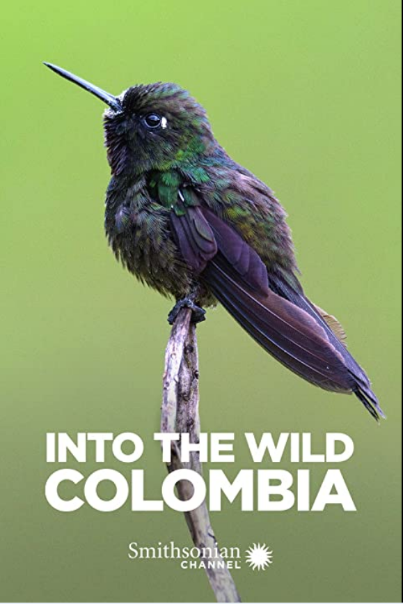 Into The Wild Colombia S01E03 2160p HDR