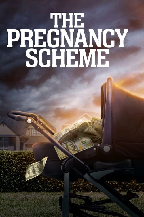 The Pregnancy Scheme 2023 1080p WEBRip-LAMA