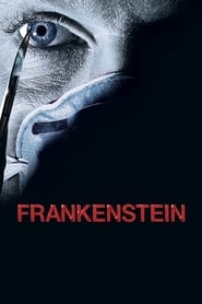 Frankenstein 2004 1080p BluRay x265 AC3 2 0