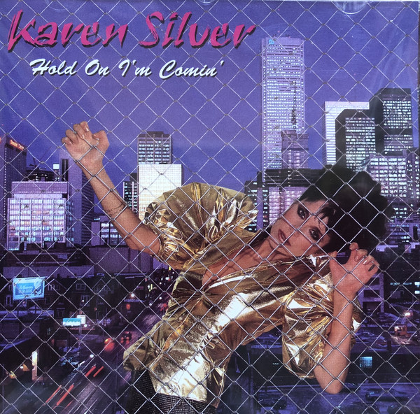 Karen Silver · Hold On I'm Comin' (2001 · FLAC+MP3)