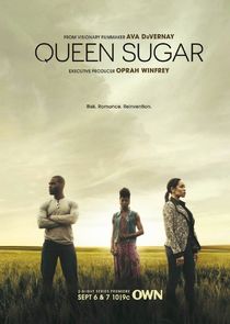 Queen Sugar S05E07 June 1 2020 1080p HDTV x264-CRiMSON