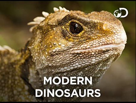 Modern Dinosaurs S01E06 1080p