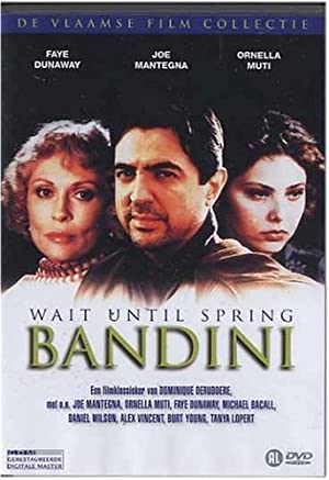 Wait Until Spring Bandini 1989 DVDRip x264