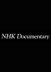 NHK Documentary S08E35 Roots of TOKYO Edo City of Fire 720p