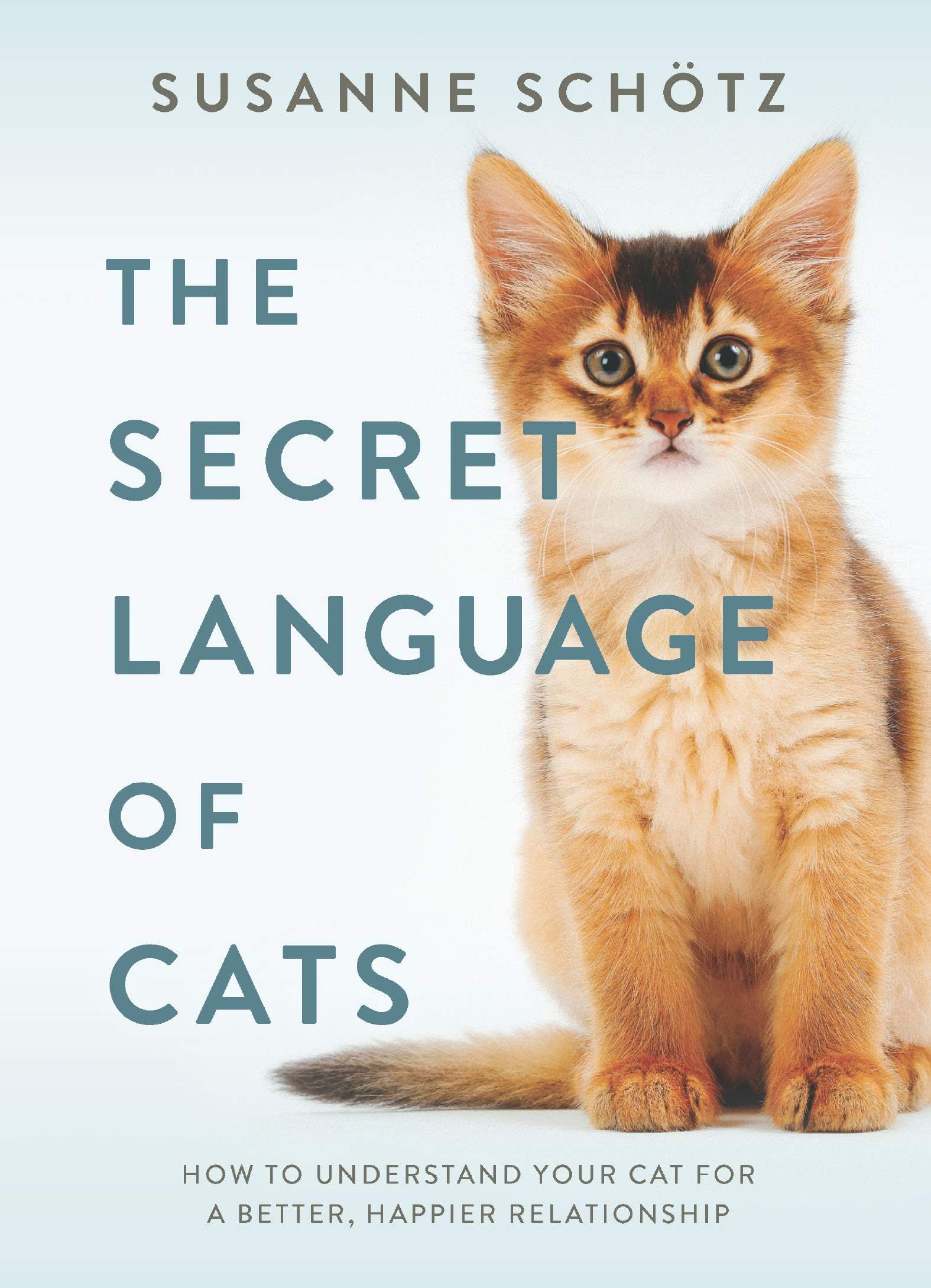 The Secret Language Of Cats How To Understand Your Cat For A Better Relationship