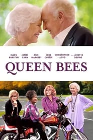 Queen Bees 2021 1080p AMZN WEB-DL DDP5 1 H 264-EVO