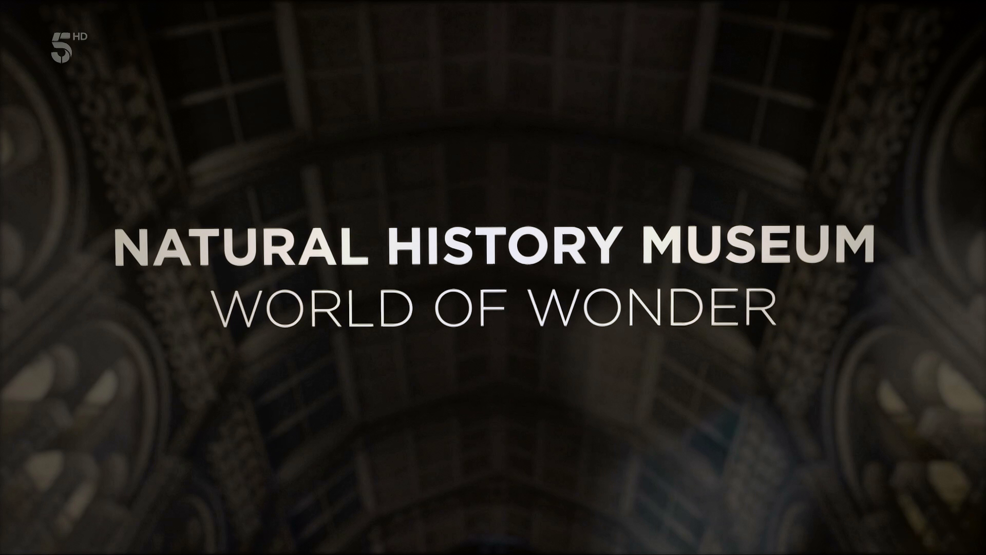 Natural History Museum World of Wonder S01E02 1080p