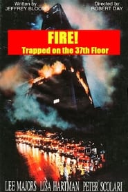 Fire Trapped On The 37th Floor 1991 DVDRip XviD