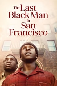 The Last Black Man in San Francisco 2019 2160p UHD BluRay RE