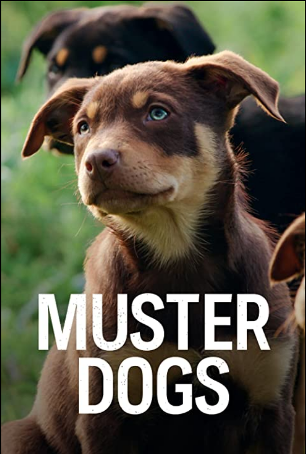 Muster Dogs S01E03 1080p