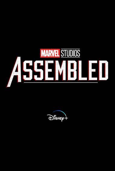 Marvel Studios Assembled S01 1080p WEB h264-GP-TV-NLsubs
