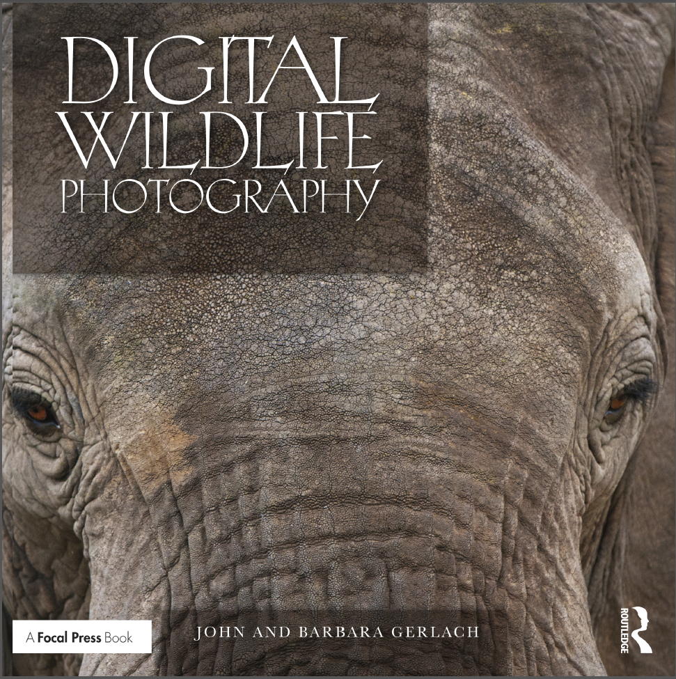 Photography Books Collection 7 (epub-pdf)