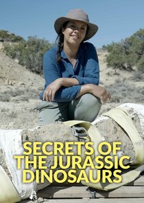 Secrets of the Jurassic Dinosaurs S01E01 1080p HDTV H264-DARKFLiX