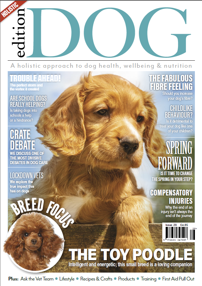 Edition Dog – Issue 29 – 25 February 2021