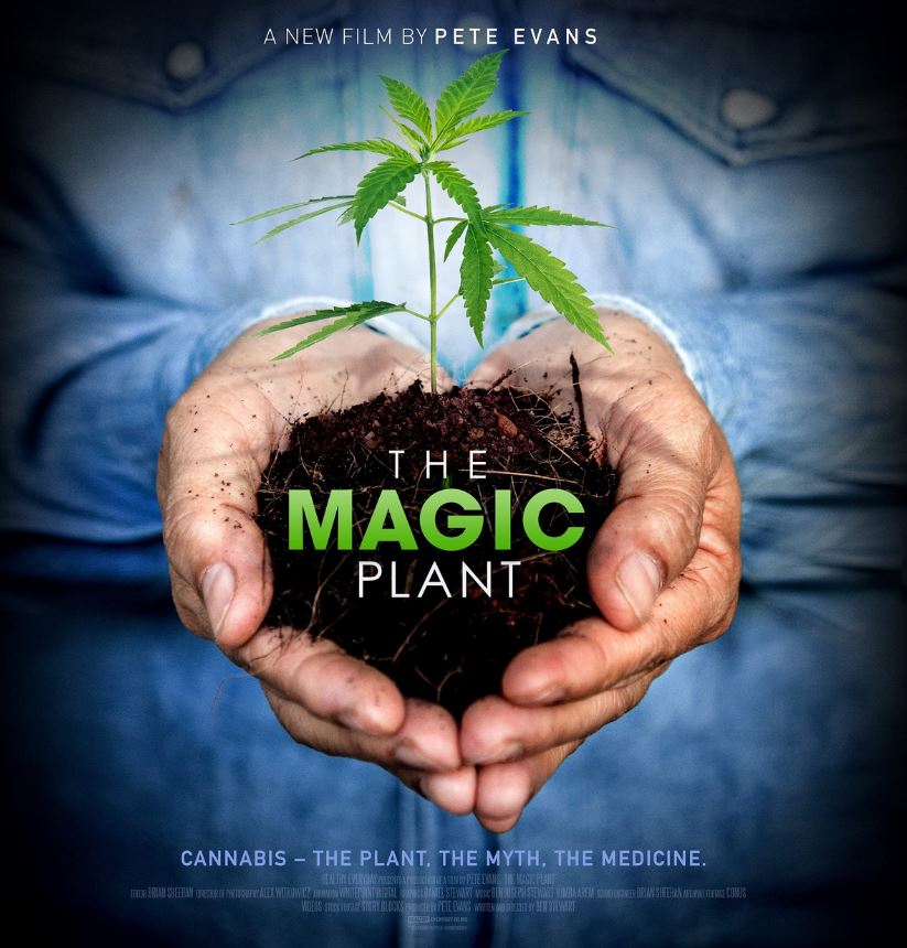 The Magic Plant (2020) 1080p WEBRip AAC.0 x264-NOGRP