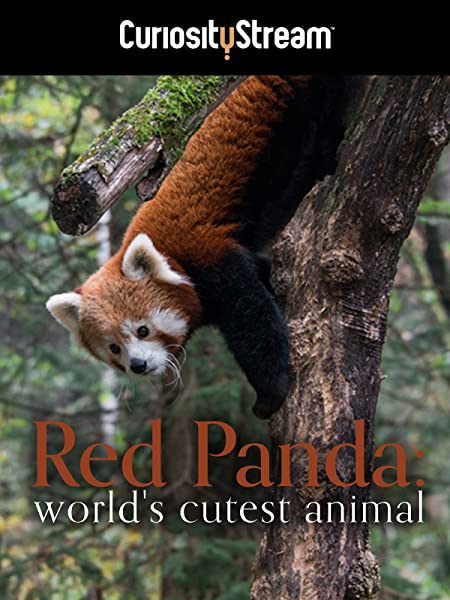 De Rode Panda-sWerelds Schattigste Dier FLEMISH WEB x264-DDF